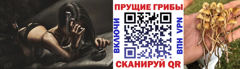 это клад  где продают   MEGA маркетплейс  Змеиногорск  Галлюциногенные грибы мухоморы 